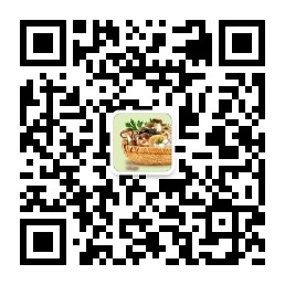 关注你附近